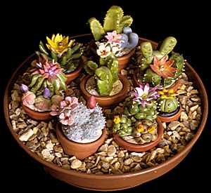 model cacti