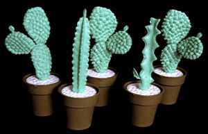 model cacti