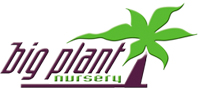 Big Plant Nursery