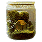 bottled earth