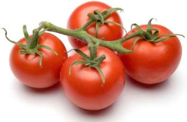 tomato