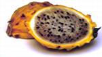 Hylocereus megalanthus - Yellow Pitahaya fruit