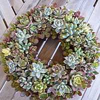 wreath