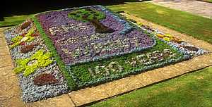 carpet bedding